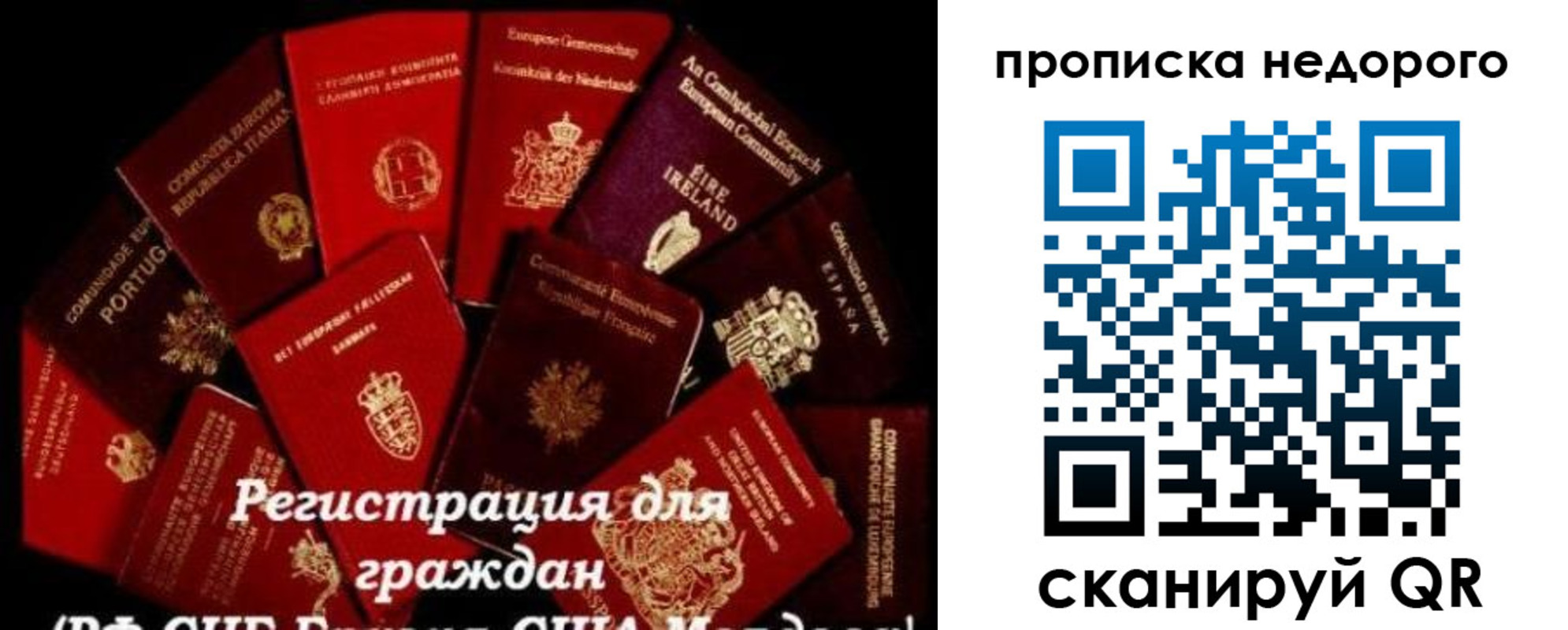 временная регистрация недорого в Касли